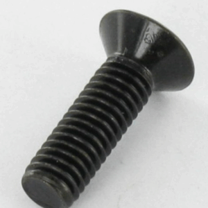 M3x6 Torx (2 Screws)
